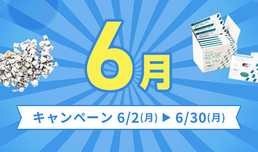 今月のキャンペーン
